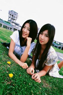 黑狐之风影电视剧免费观看全集